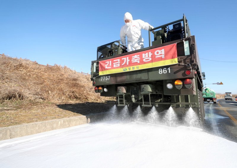 Južna Koreja potvrdila ptičju gripu u uzorcima divljih ptica, objavila upozorenje