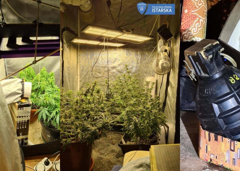 Pronađeno više od 10 kg marihuane i improvizirani laboratoriji