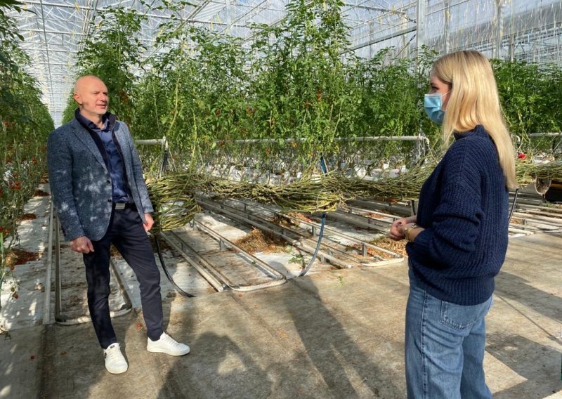 Otkrivamo novi inovacijski zamah najmodernije hrvatske farme za uzgoj rajčica!
