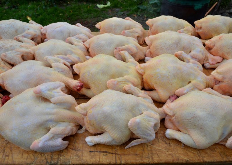 Prodavat će se u grumenima: Singapur prvi dozvoljava prodaju piletine iz laboratorija