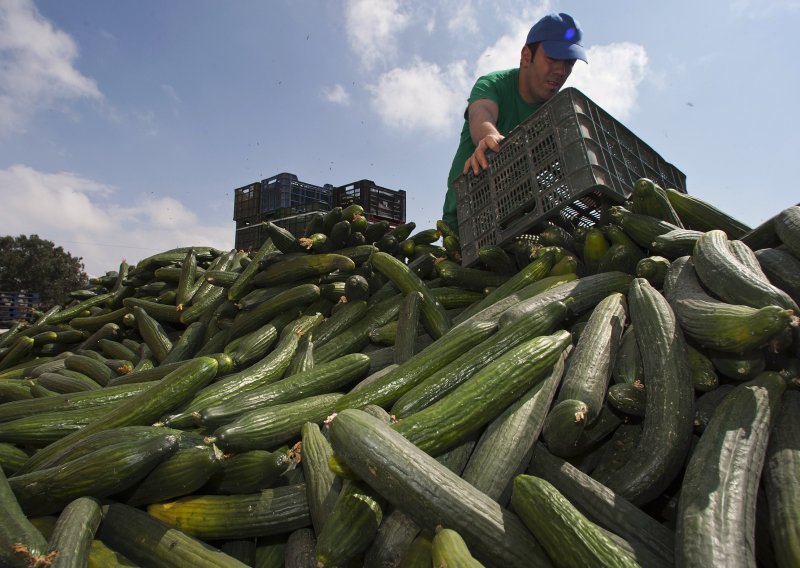 Europa pozvala Rusiju da ukine embargo na povrće