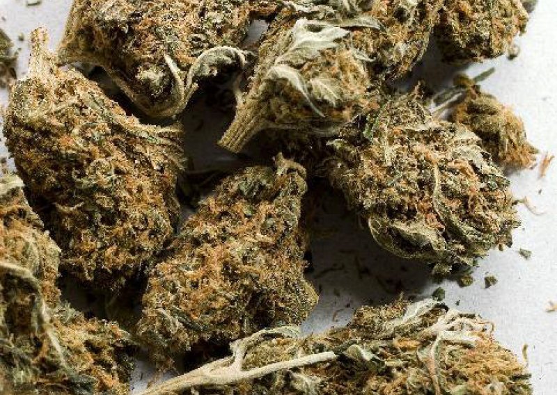 Dubrovačka policija zaplijenila 25 kilograma marihuane