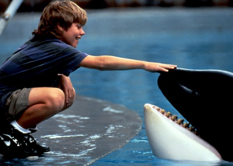 Prošlo je 28 godina: Najbolji prijatelj bio mu je kit ubojica, a evo kako danas izgleda glumac koji je oslobodio Willyja