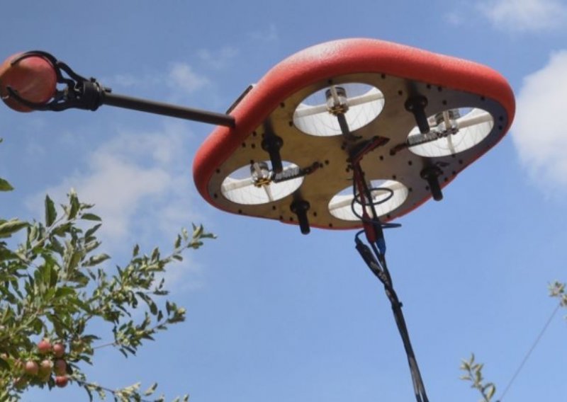 Nema rasipanja: Izraelski leteći roboti preuzeli poslove berača zrelog voća