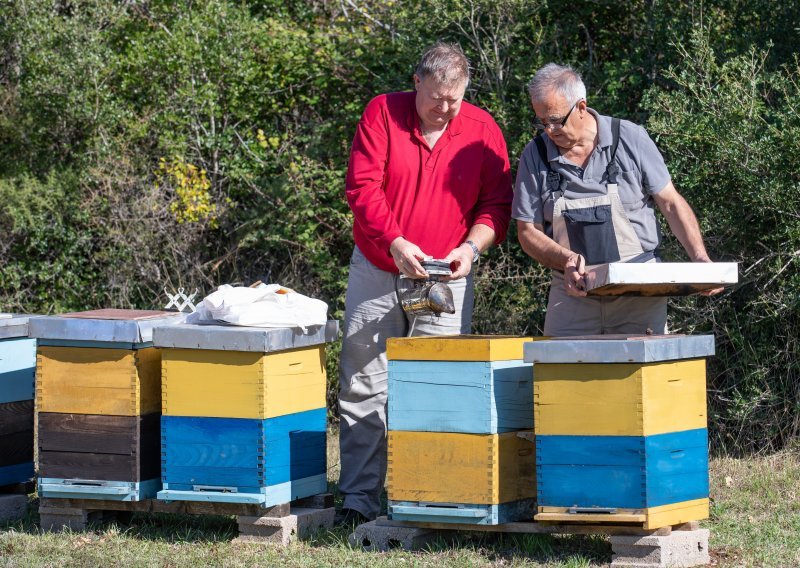 Muke po pčelarima: Boje se toplog vremena, a još više hladnog ožujka
