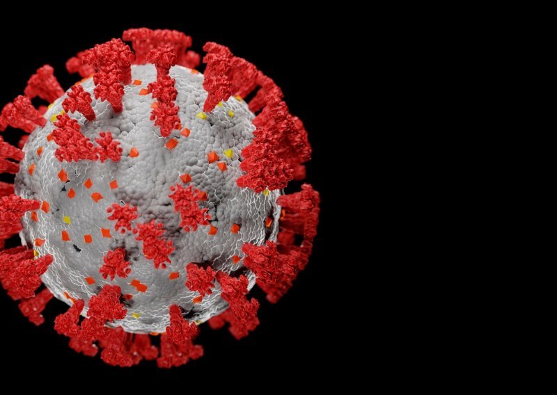 Nova studija: Obična prehlada uspješno štiti od koronavirusa