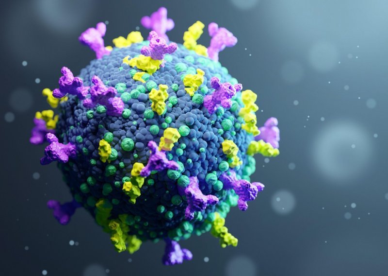 Važno otkriće: Ubojite T-stanice djeluju i protiv zaraznijih varijanti Covida-19