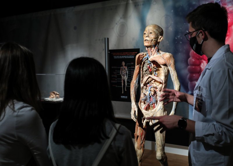 [VIDEO/FOTO] Svjetski poznati prikaz ljudske anatomije vratio se u Klovićeve dvore s dosad neizložnim tijelima