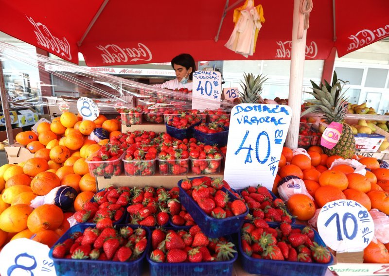 [FOTO] Počela je berba domaćih jagoda, a podvaljuju nam uvozne kao hrvatske. Kako ih prepoznati?