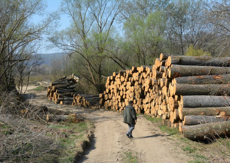 Hrvatske šume: Obročna otplata kupcima koji su pretrpjeli štetu zbog 'više sile'