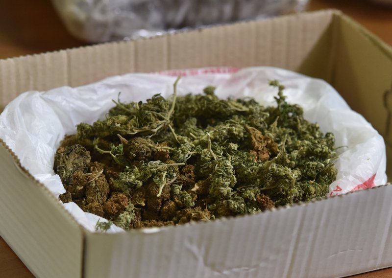 Dileru zatečenom s 12,8 kilograma marihuane određen istražni zatvor