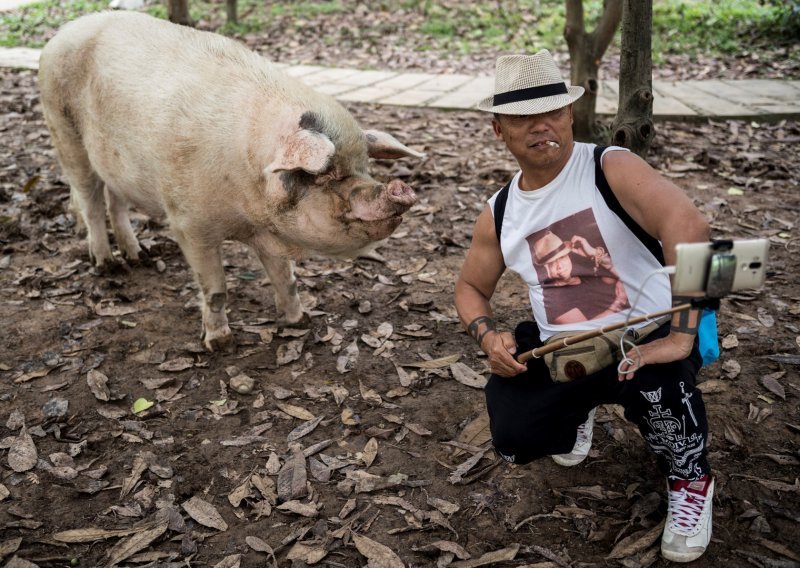 Uginula herojska svinja koja je preživjela 36 dana pod ruševinama nakon potresa. Bila je nacionalna ikona u Kini