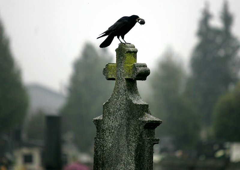 Šibenčaninu ne daju da otvori privatno groblje