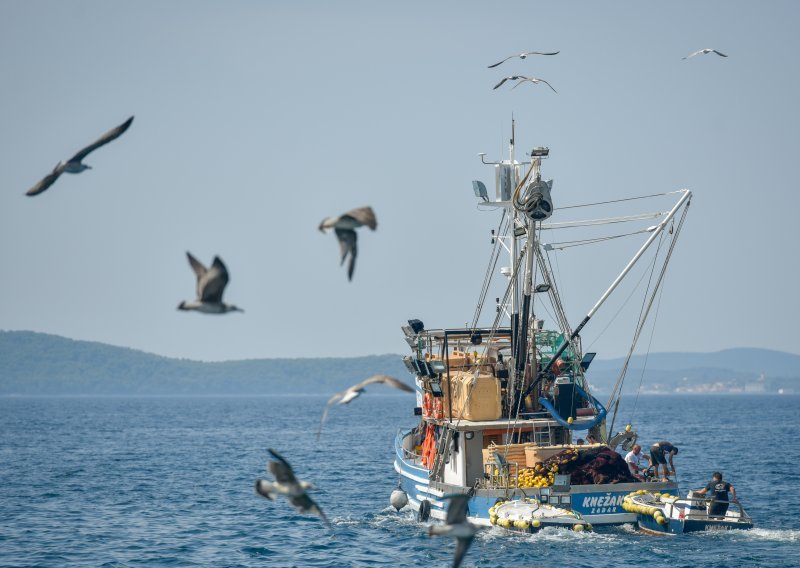 EP odobrio 6,1 milijarda eura za održivo ribarstvo i ribarske zajednice
