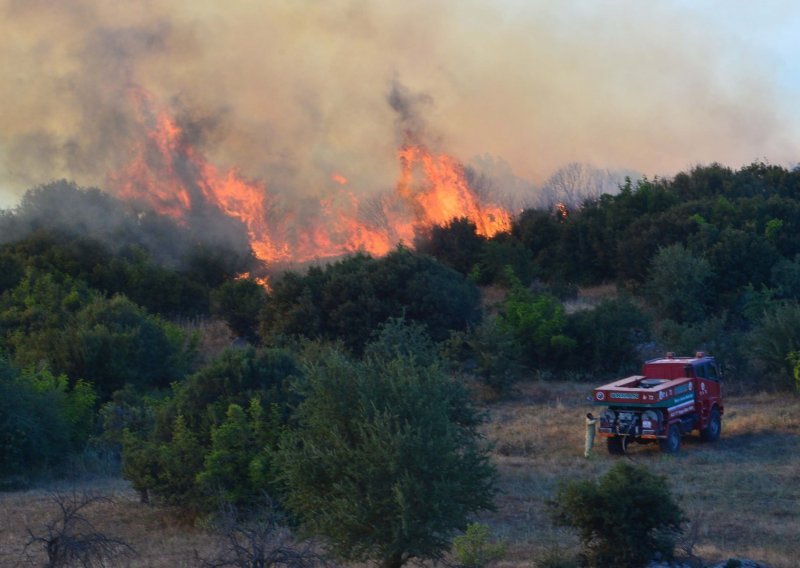 Jedan mrtav, 10 zarobljeno u šumskom požaru na jugu Turske