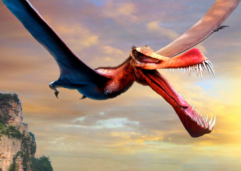 Raspon krila od 6,7 metara: Ovaj zastrašujući dinosaur nekad je terorizirao nebo iznad Australije