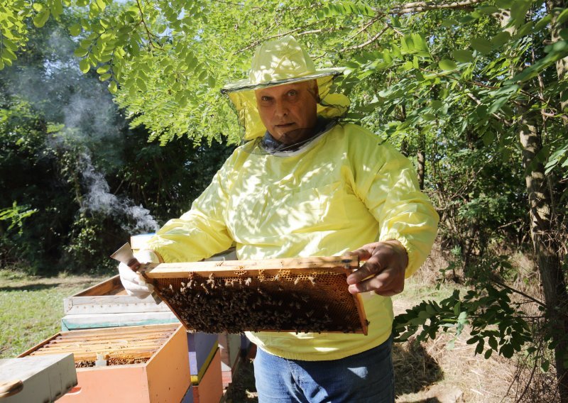 [FOTO] Slavonski pčelar objašnjava zašto će cijene meda odletjeti u nebo, a u pčelarski dnevnik zapisati: 'Ne može biti gore'