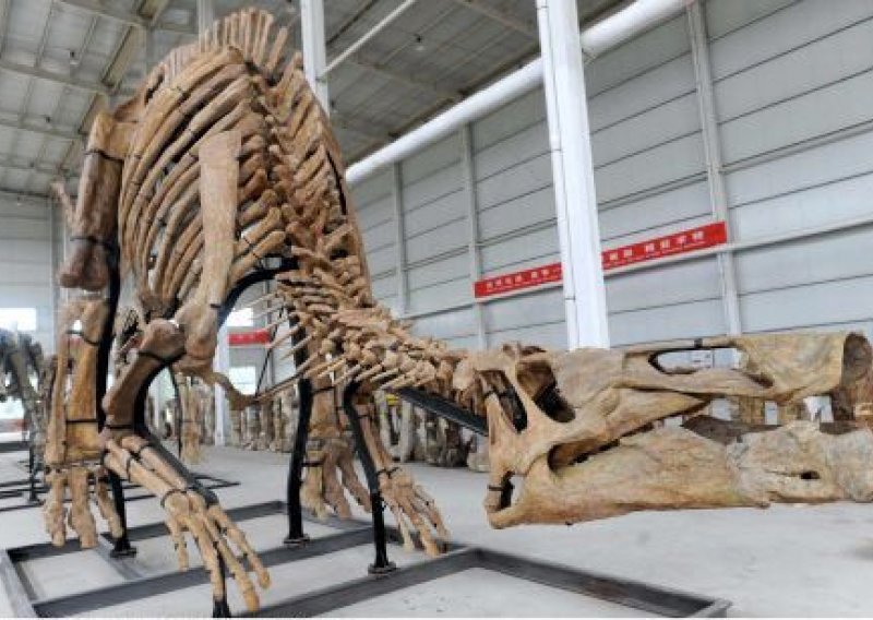 Pronađen fosil repa dinosaura star 72 milijuna godina