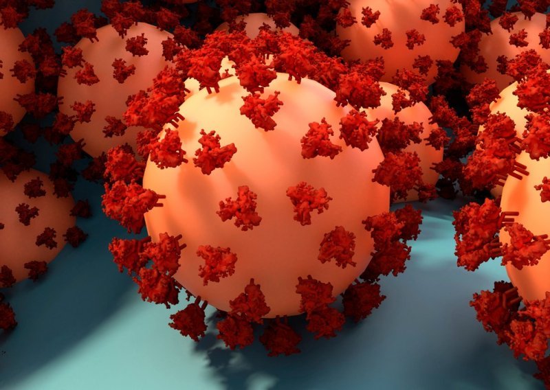 Nova varijanta koronavirusa dobila ime Omicron: WHO je klasificira kao 'zabrinjavajuću', ali je protiv ishitrenog zatvaranja granica