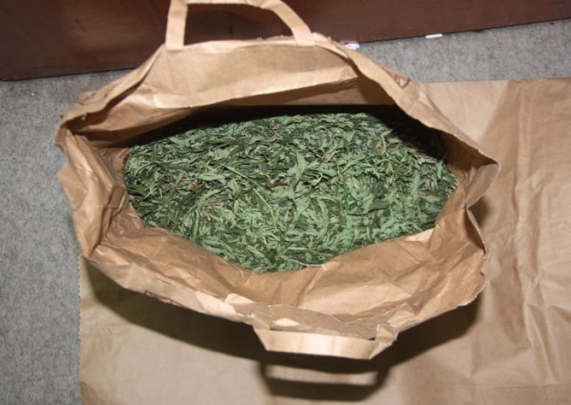 Na Rabu pao lokalni diler kokaina i marihuane, policija mu pronašla 110 grama marihuane