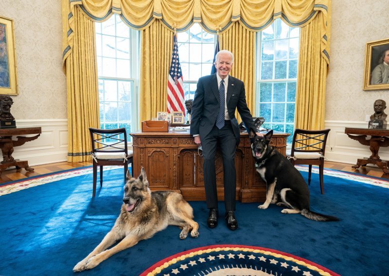 U Bijelu kuću stigao novi stanar, štene njemačkog ovčara koje je Joe Biden s ponosom predstavio