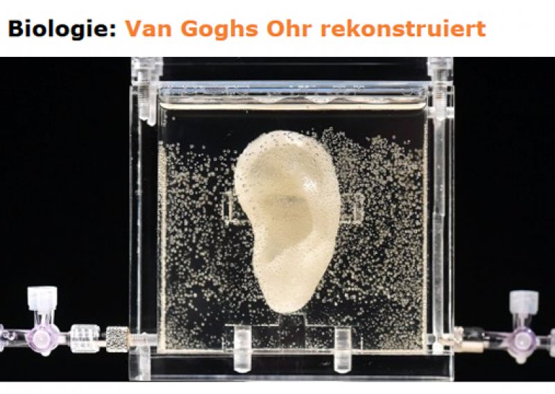 Van Goghovo uho stvoreno 3D printerom i genima srodnika