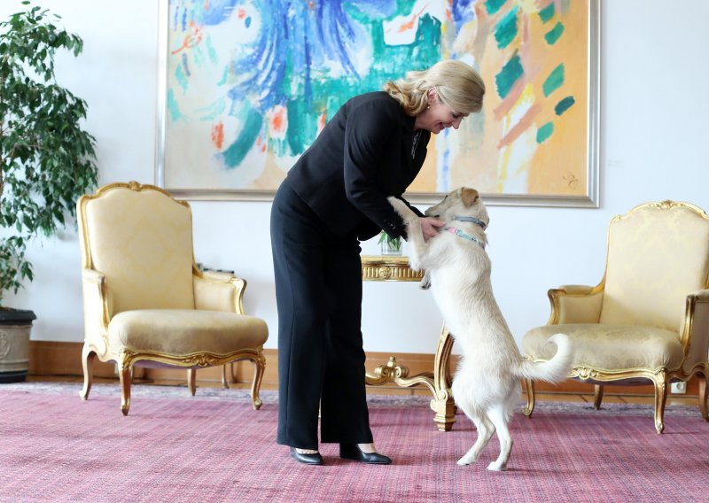 Pas bivše predsjednice Kolinde Grabar Kitarović više nije s njom, ponovno je udomljen