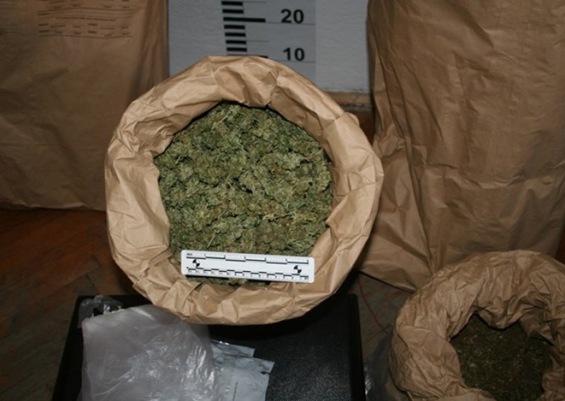 Kod mladića u Trogiru policija pronašla i zaplijenila pola kilograma marihuane