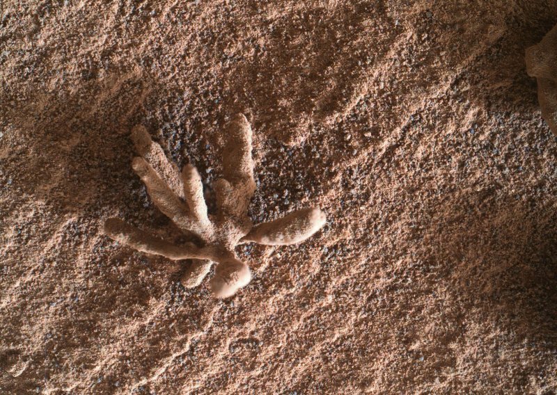 Curiosity pronašao: 'Kameni cvijet' otkriva tajne Marsove gostoljubljivije prošlosti