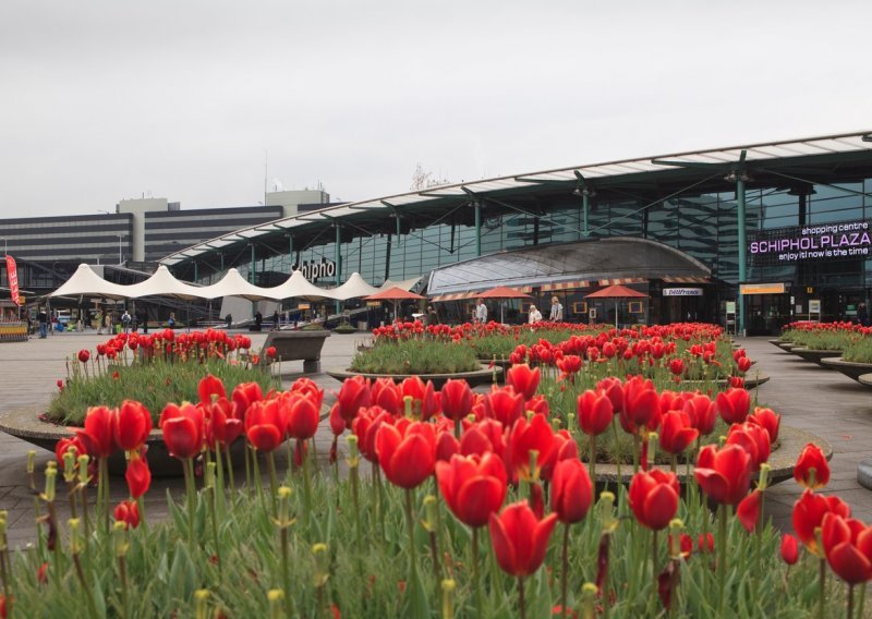 Stotine tisuća mlađi jegulje zaplijenjeno na aerodromu Schiphol