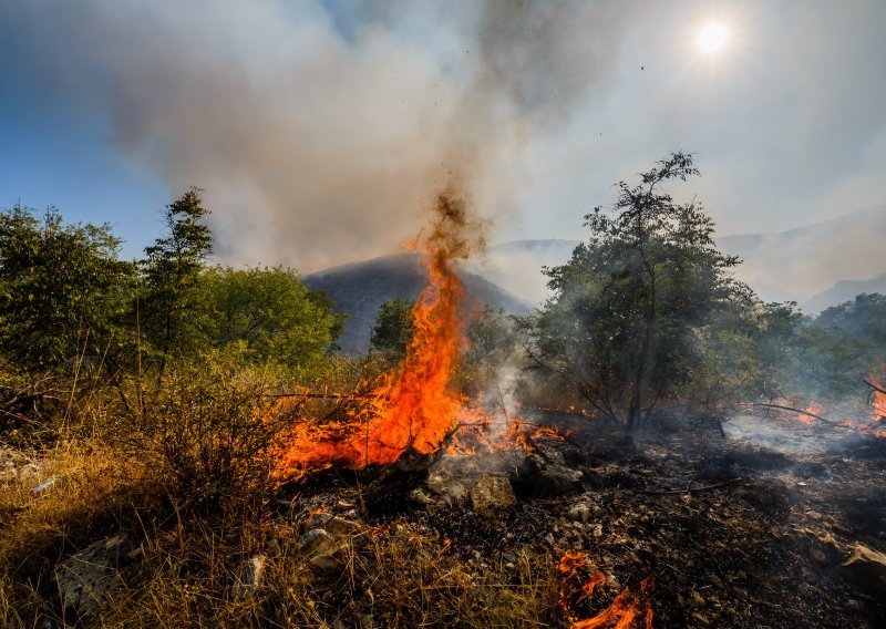 Jak vjetar otežava gašenje požara na području Živogošća, u akciju poslani svi raspoloživi vatrogasci sa šireg makarskog područja