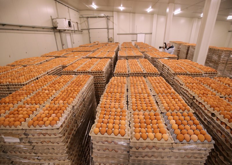Britanski proizvođači prijete obustavom isporuke jaja, cijene su im neprihvatljive