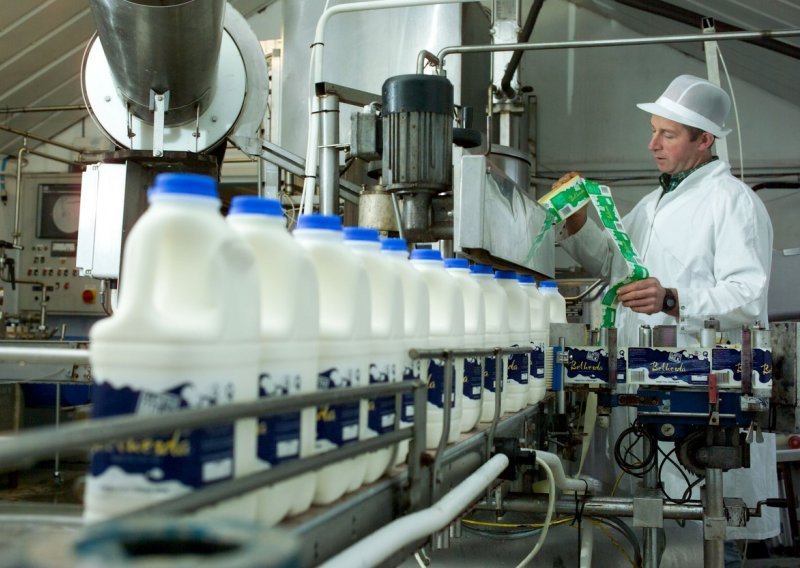 Gasi se jedina mljekara u Primorsko-goranskoj županiji. Tvornica ostala bez sirovine, 30 radnika 'Tonke' ostaje bez posla?