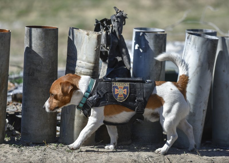 [VIDEO] Zelenski odlikovao zvijezdu obrane Ukrajine, Patrona - psa tragača za minama