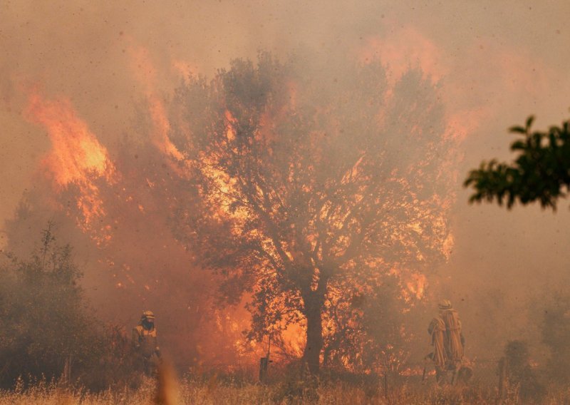 Planuo veliki požar u blizini Novigrada