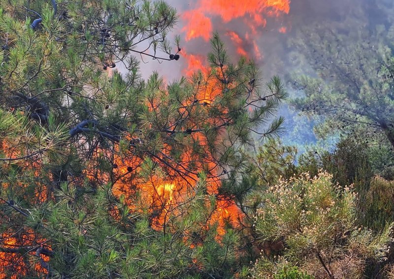 [FOTO] Turskom bijesne požari: Kod odmarališta Marmaris evakuirano gotovo 300 osoba