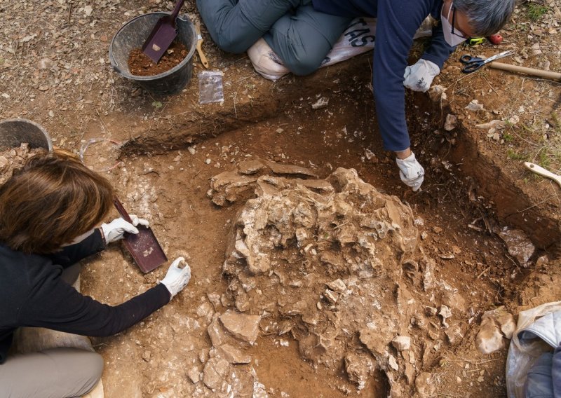 Pronađen dosad najstariji fosil ljudskog pretka u Europi?