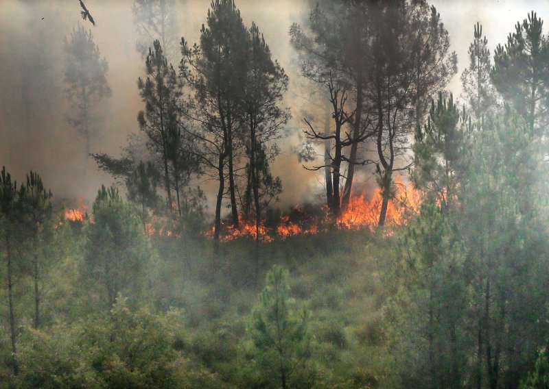 [FOTO] Šumski požari bjesne jugozapadom Francuske, evakuirane tisuće turista