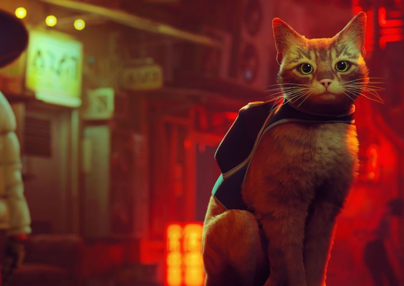 [FOTO/VIDEO] Zaigrali smo Stray, neonom natopljenu cyberpunk avanturu za mačkoljupce