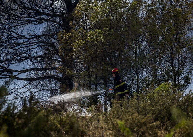 Izbio požar na području Santa Marine kod Labina, zatražena pomoć kanadera