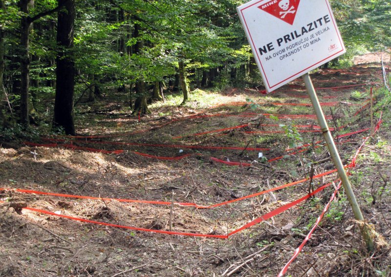 Djelatnici 'Hrvatskih šuma' pronašli 15 protupješačkih mina u Baranji