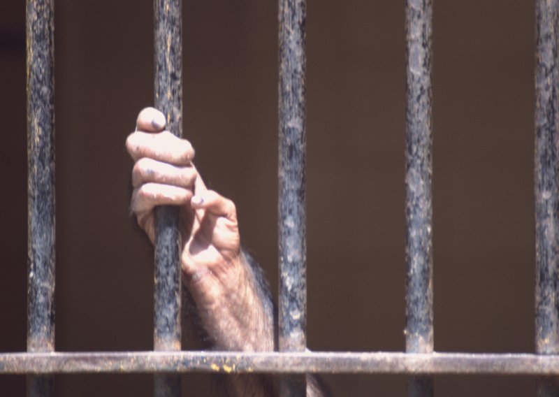 Zatvorenici pri Sudu BiH štrajkaju glađu