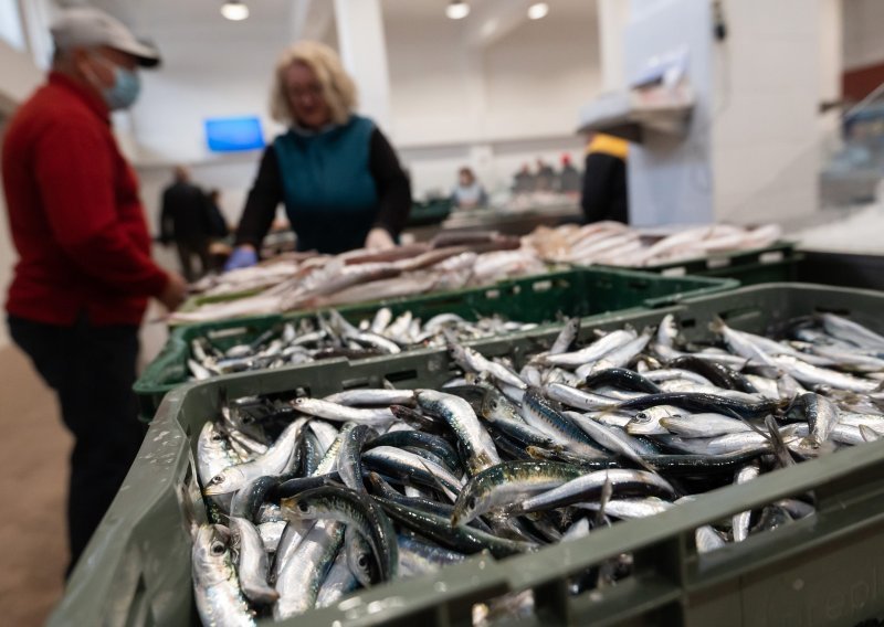 Vrijednost ribarstva u 2021. porasla za 15,9 posto. Glavninu ulova čini plava riba, najviše srdela
