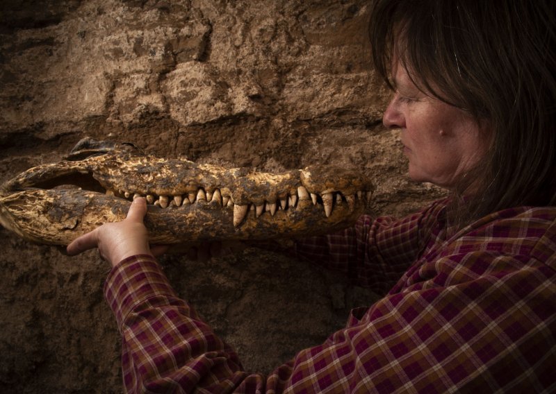 Egipatski arheolozi u grobnici pronašli mumificirane krokodile, imali su važnu ulogu