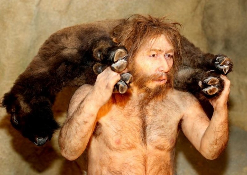Neandertalci su bili izuzetno mišićavi