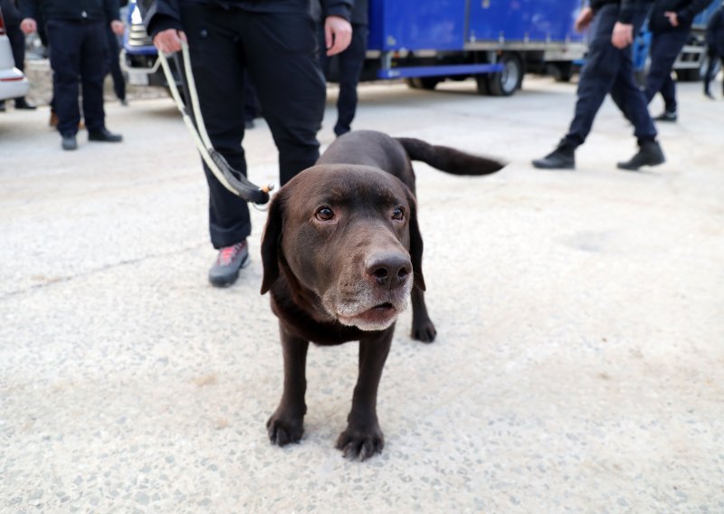 Hrvatski spasioci s psima dva su dana putovali u Tursku. Zašto nisu išli avionom?