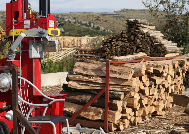 Hrvatske šume obustavile prodaju drva za ogrjev građanima, ali ne i svojim radnicima
