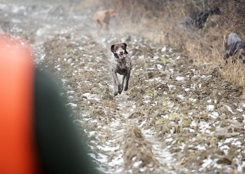 Ranio psa iz lovačke puške koju je nelegalno posjedovao, policija ga prijavila
