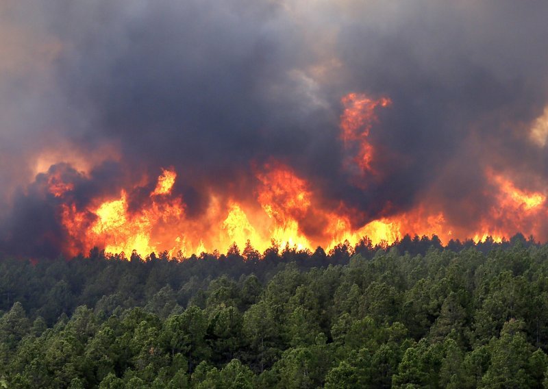 Wildfire in northern Herzegovina burning out of control