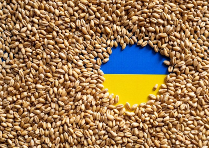 Ukrajina poručila EU-u i Poljskoj da su ograničenja na njezino žito 'neprihvatljiva'